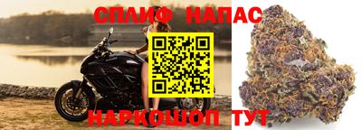 гидропоника Кумертау